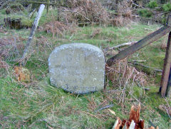 
Boundary stone BH, (Benjamin Hall), Cwmcarn, April 2009